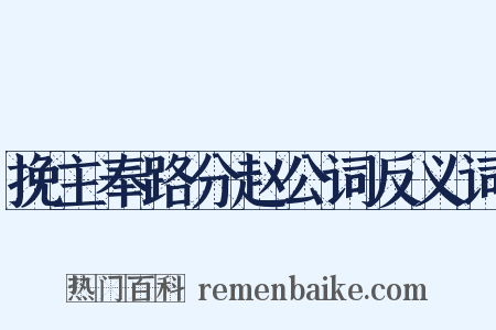 挽主奉路分赵公词反义词是什么意思的图片